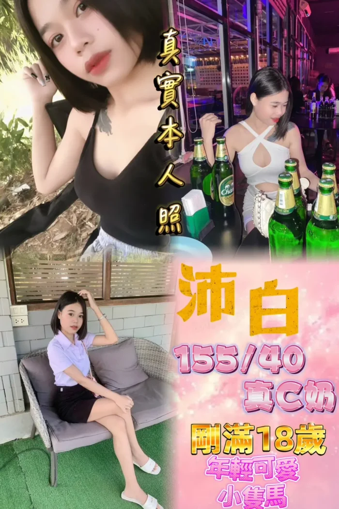 新北定點茶-沛白